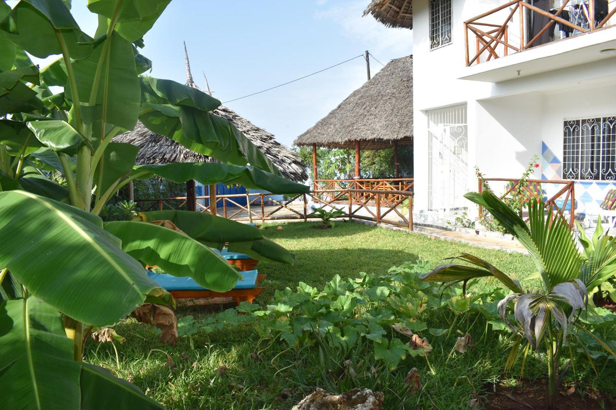 Bed and Breakfast Pineapple House Nungwi Exteriér fotografie